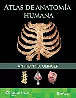 atlas de anatomia