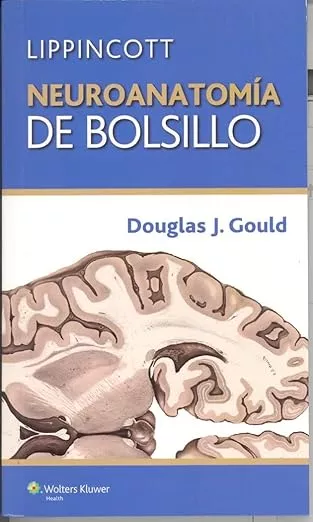 NEUROANATOMIA